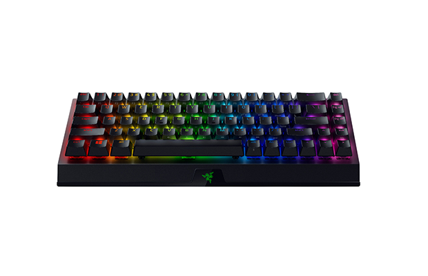 Razer™ BlackWidow V3 Mini HyperSpeed - 65% Wireless Mechanical Gaming Keyboard