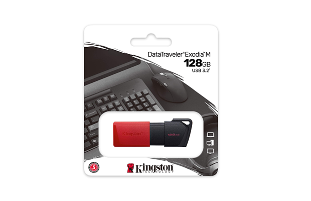 Kingston 128GB USB3.2 USB Flash Drive (DTXM/128GB)