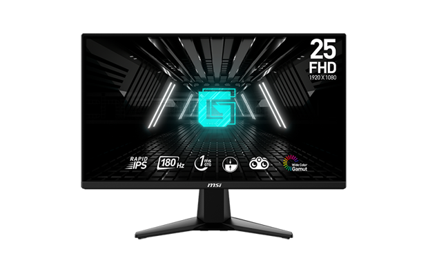 MSI G255F 24.5