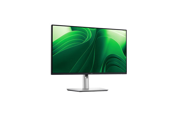 Dell Pro 24 P2425D Plus Monitor (2560 x 1440 at 100Hz, HDMI/DP) 3years - 2