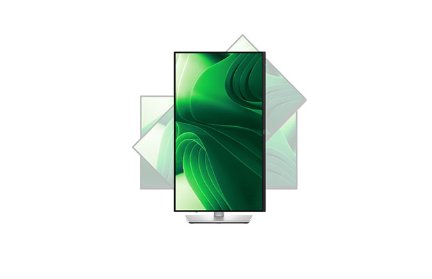Dell Pro 24 P2425D Plus Monitor (2560 x 1440 at 100Hz, HDMI/DP) 3years - 3