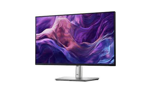 Dell 24 P2425HE USB-C Hub Monitor