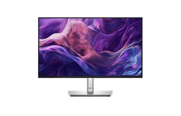 Dell 24 P2425HE USB-C Hub Monitor