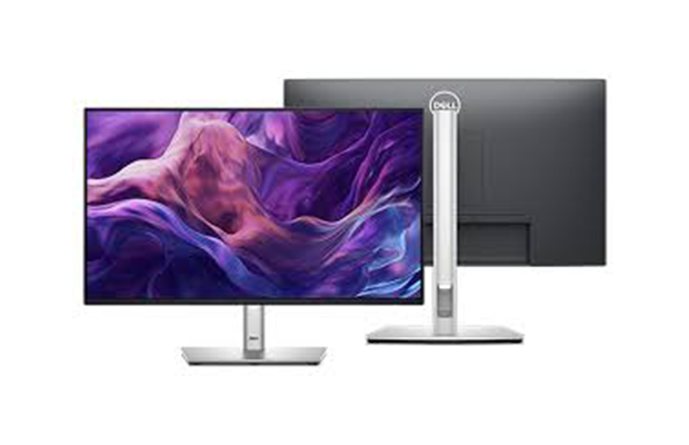 Dell 24 P2425HE USB-C Hub Monitor