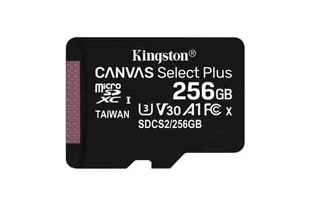 Kingston 256GB microSDXC Memory Card (SDCS2/256GB) - 1