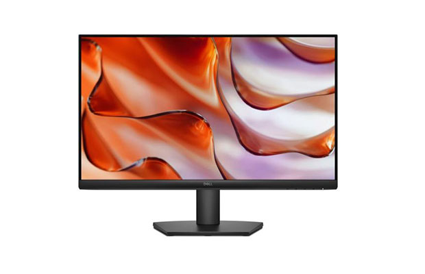 Dell 24