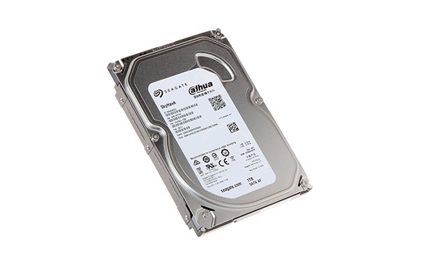 Dahua Seagate 8TB Skyhawk (ST8000VX004)