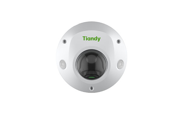 Tiandy TC-C32PS 2MP Mini Network Dome Camera - 1