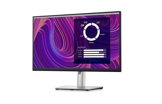 Dell 24
