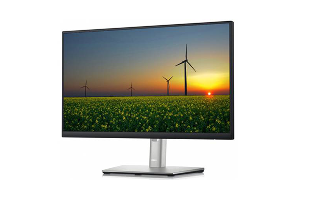 Dell P2222H 22