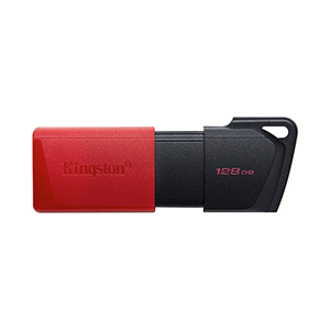 Kingston 128GB USB3.2 USB Flash Drive (DTXM/128GB)