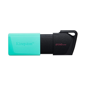 Kingston 256GB USB3.2 USB Flash Drive (DTXM/256GB)