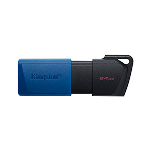 Kingston 64B USB3.2 USB Flash Drive (DTXM/64GB)