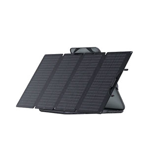 EcoFlow 220W Portable Solar Panel (82.0cmx183.5cmx2.5cm) 1Year