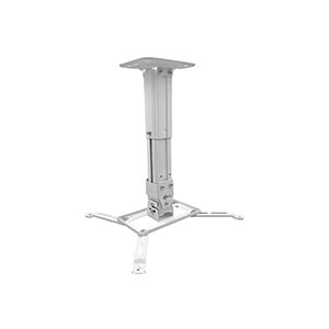 Ceiling Mount PROLINK HN-H300