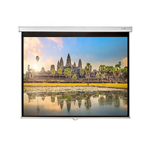 TruVision motorized screen 2.2 x 2.2M (84