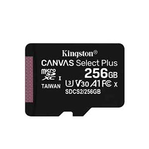 Kingston 256GB microSDXC Memory Card (SDCS2/256GB)
