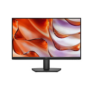 Dell 24