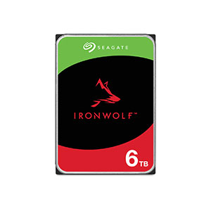 Seagate IronWolf 6TB Internal Hard Drive (ST6000VN006)