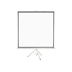 Tripod Screen Projector PROLINK 2.4m x 2.4m (96