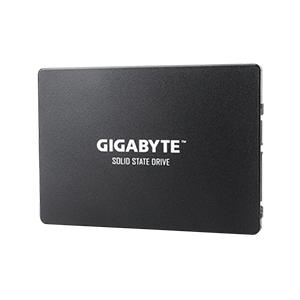 SSD GIGABYTE 256GB